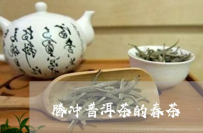 腾冲普洱茶的春茶/2023031628360