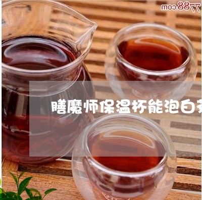 膳魔师保温杯能泡白茶吗/2023032744025