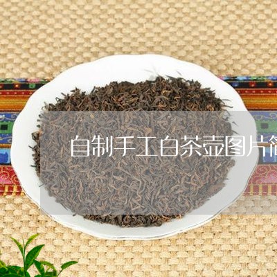 自制手工白茶壶图片简单/2023032724159