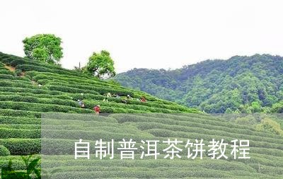 自制普洱茶饼教程/2023041380505