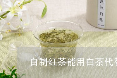 自制红茶能用白茶代替吗/2023032795060