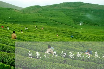 自制荷花白茶配方表大全/2023032763627