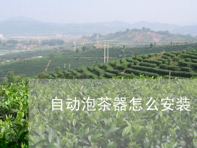 自动泡茶器怎么安装/2023041661593