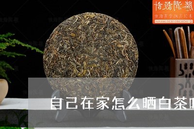 自己在家怎么晒白茶叶干/2023032795928