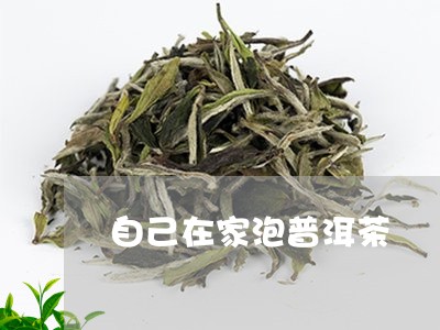 自己在家泡普洱茶/2023040988401