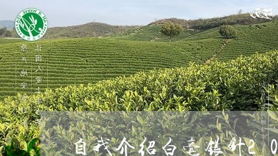 自我介绍白毫银针200字/2023033189403