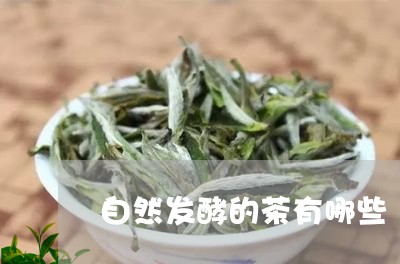 自然发酵的茶有哪些/2023032038362