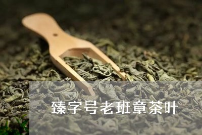 臻字号老班章茶叶/2023032929725