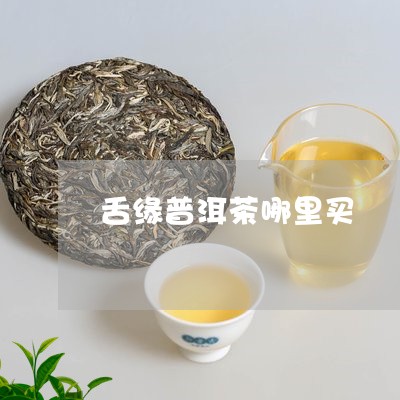 舌缘普洱茶哪里买/2023041027371