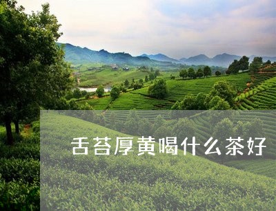 舌苔厚黄喝什么茶好/2023041690472