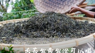 舌苔发黄发涩可以喝白茶/2023032786948