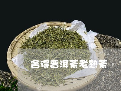 舍得普洱茶老熟茶/2023031644148