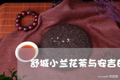 舒城小兰花茶与安吉白茶/2023032738372