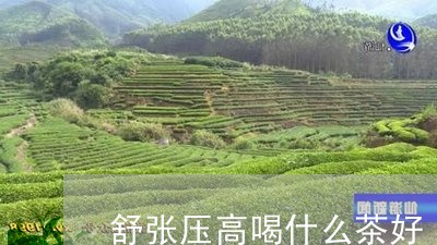 舒张压高喝什么茶好/2023041537593