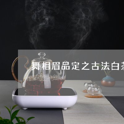 舞相眉品定之古法白茶/2023032737140