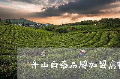 舟山白茶品牌加盟店电话/2023032755039