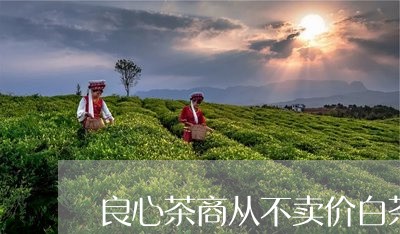 良心茶商从不卖价白茶/2023032704847