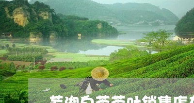 芜湖白茶茶叶销售店在哪/2023032723838