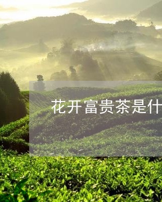 花开富贵茶是什么茶/2023032012805