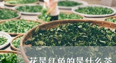 花是红色的是什么茶/2023041503736