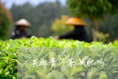 花椒普洱茶减肥吗/2023041315471