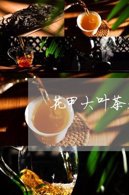 花甲大叶茶是什么茶/2023041518379