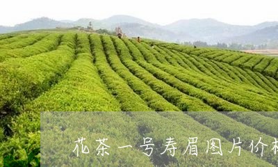 花茶一号寿眉图片价格表/2023032713251