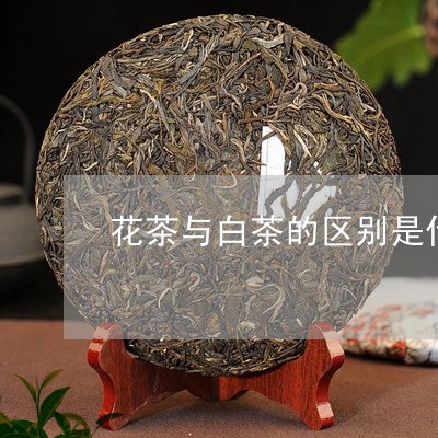 花茶与白茶的区别是什么/2023032796828