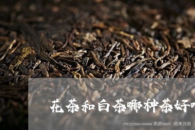 花茶和白茶哪种茶好喝点/2023032716947