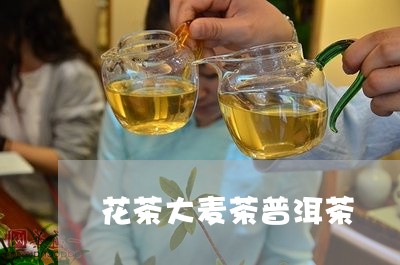 花茶大麦茶普洱茶/2023041181940