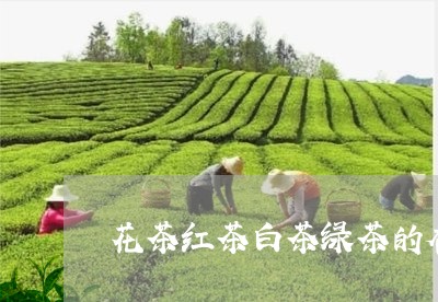 花茶红茶白茶绿茶的香气/2023032779272