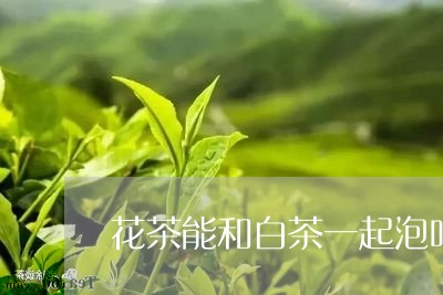 花茶能和白茶一起泡吗吗/2023032740724