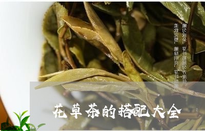 花草茶的搭配大全/2023032568460