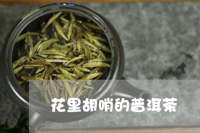 花里胡哨的普洱茶/2023031645836