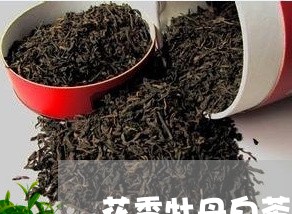 花香牡丹白茶是什么香味/2023032733935