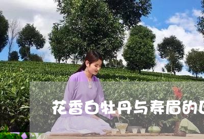 花香白牡丹与寿眉的区别/2023032724041