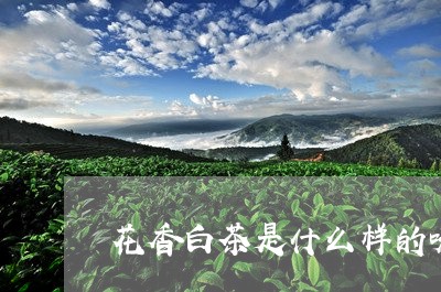 花香白茶是什么样的味道/2023032791615