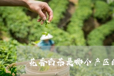 花香白茶是哪个产区的茶/2023032763946