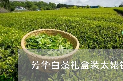 芳华白茶礼盒装太姥银针/2023032716168