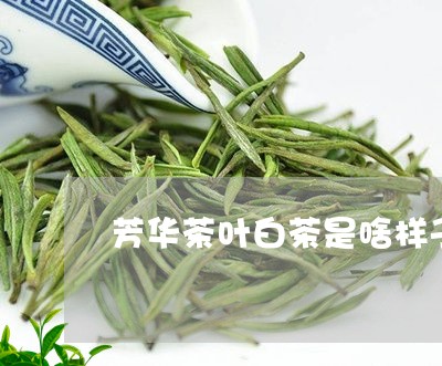 芳华茶叶白茶是啥样子的/2023032759371