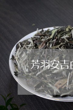 芳羽安吉白茶送的茶杯差/2023032770706