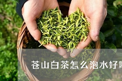 苍山白茶怎么泡水好喝呢/2023032706040