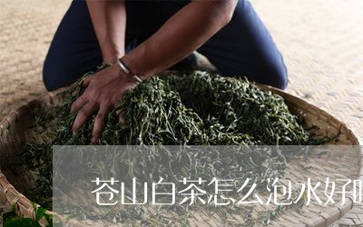 苍山白茶怎么泡水好喝点/2023032753836