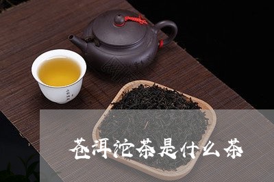 苍洱沱茶是什么茶/2023032408259