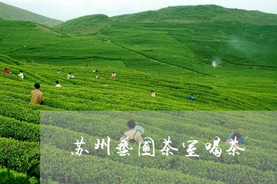 苏州艺圃茶室喝茶/2023032574037