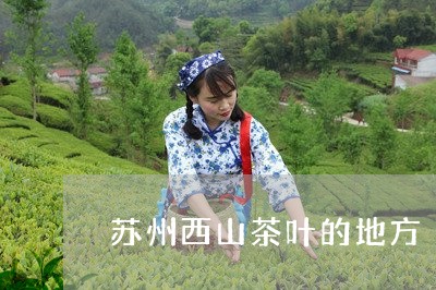 苏州西山茶叶的地方/2023032243058