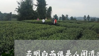 若明白茶便是人间逍遥仙/2023032746179