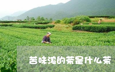 苦味浓的茶是什么茶/2023041552061