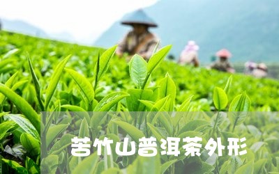 苦竹山普洱茶外形/2023041063837