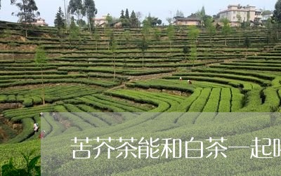 苦芥茶能和白茶一起喝吗/2023032794057